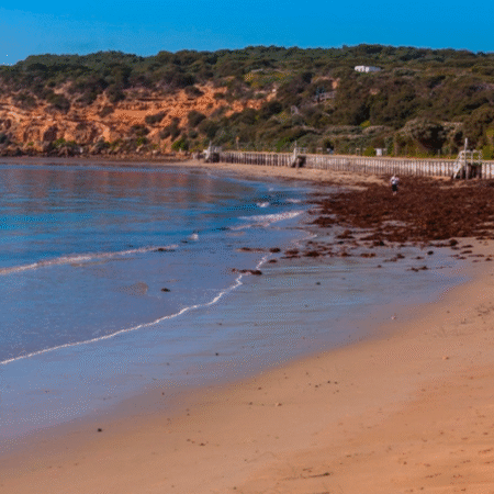 Barwon Bluff