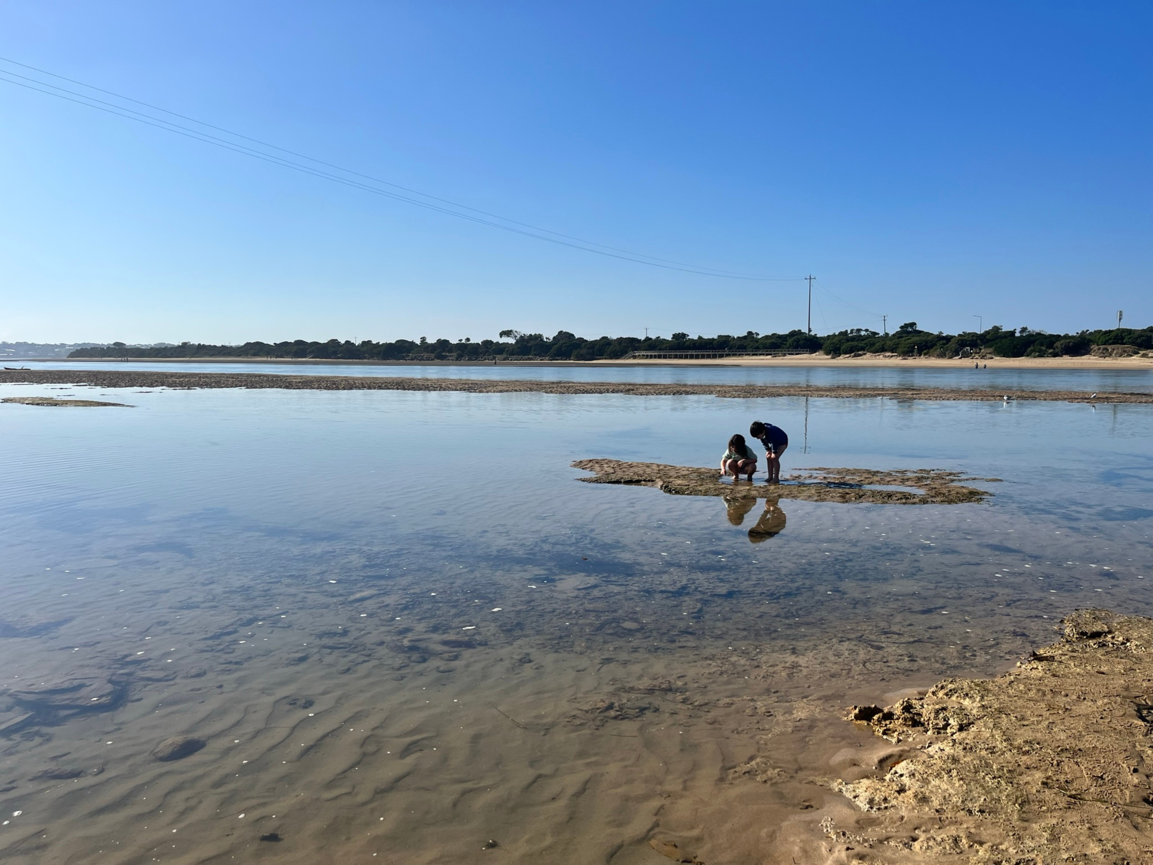 Two small children explore the Barwon River