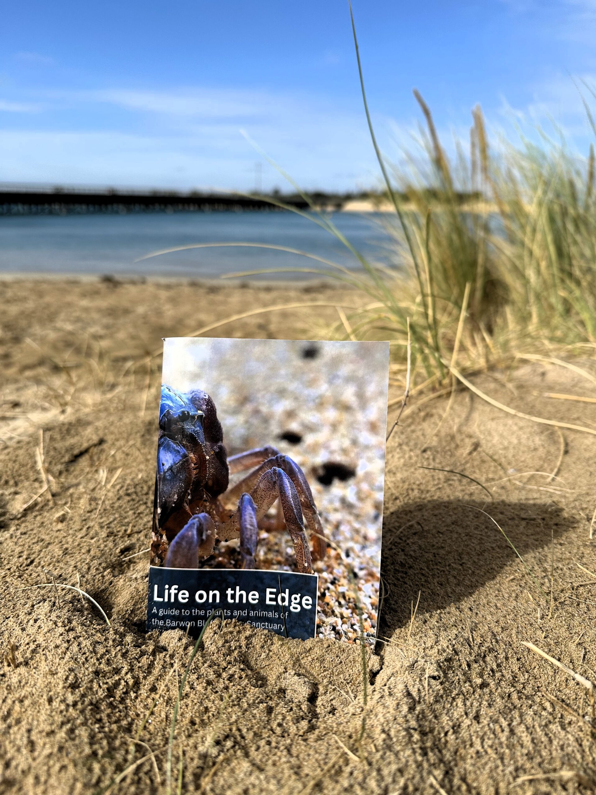 Image of the "Life on the Edge" booklet sitting in the sand on the Barwon River