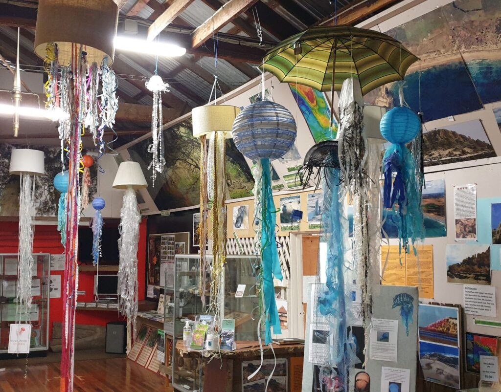 Barwon Coast Discovery Centre hanging display