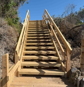 A view of a wooden staircase from the bottom, with a blue sky and vegetation either side.