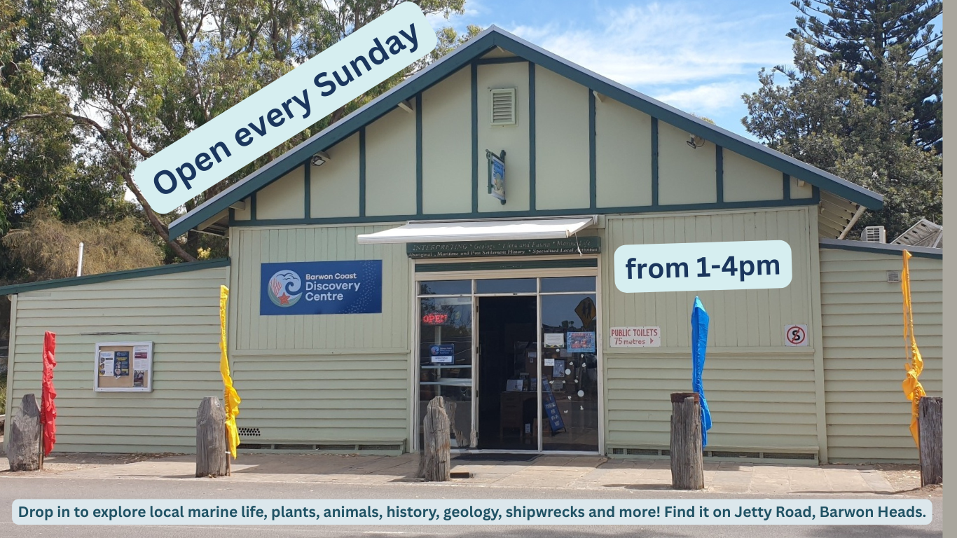 Discovery Centre